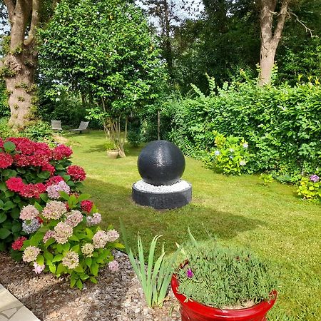 La Clairiere Du Seignanx Bed & Breakfast Saint-Martin-de-Seignanx Екстериор снимка