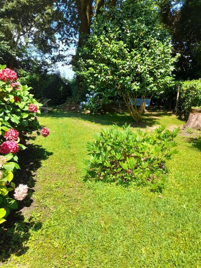 La Clairiere Du Seignanx Bed & Breakfast Saint-Martin-de-Seignanx Екстериор снимка
