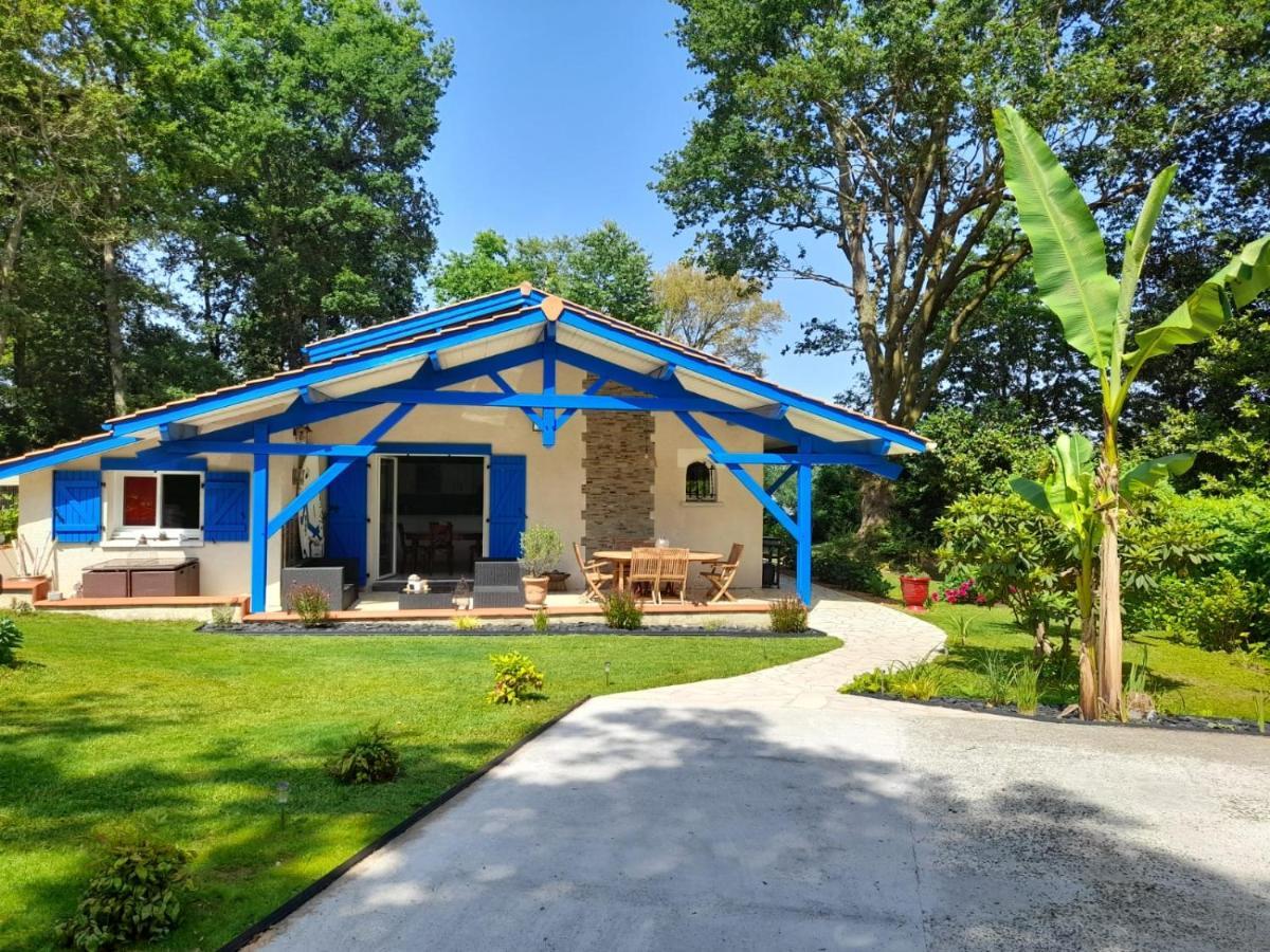 La Clairiere Du Seignanx Bed & Breakfast Saint-Martin-de-Seignanx Екстериор снимка