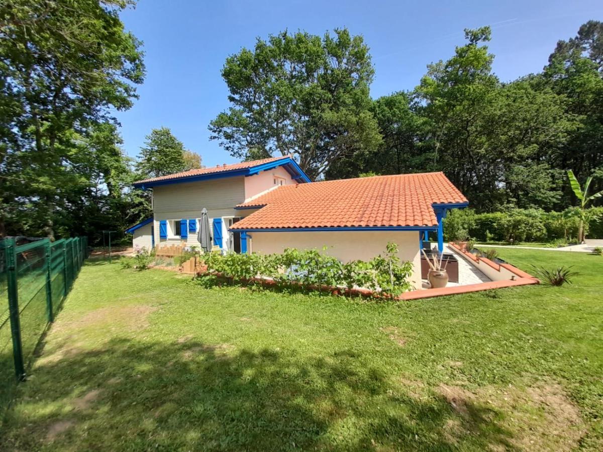 La Clairiere Du Seignanx Bed & Breakfast Saint-Martin-de-Seignanx Екстериор снимка