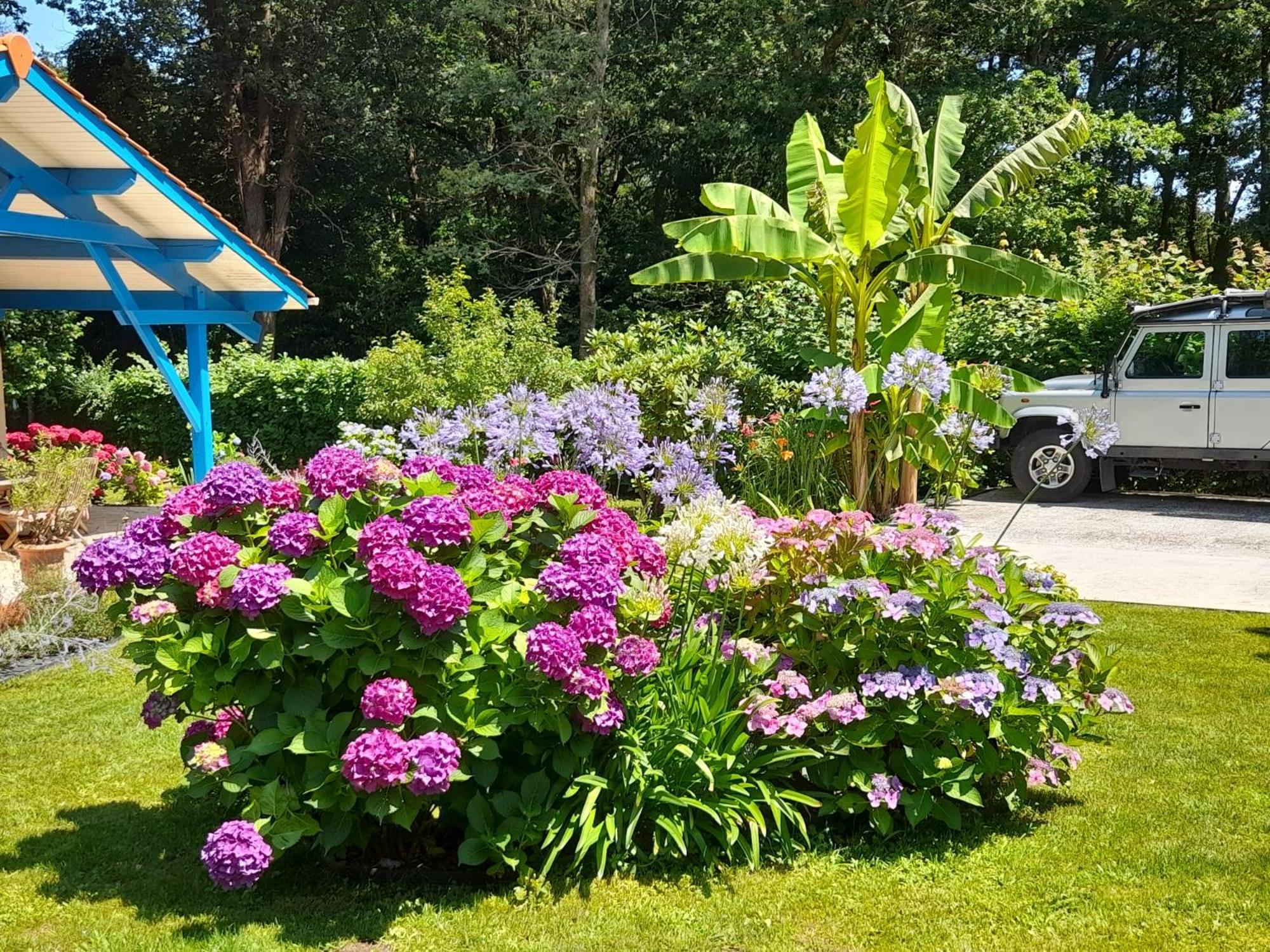 La Clairiere Du Seignanx Bed & Breakfast Saint-Martin-de-Seignanx Екстериор снимка