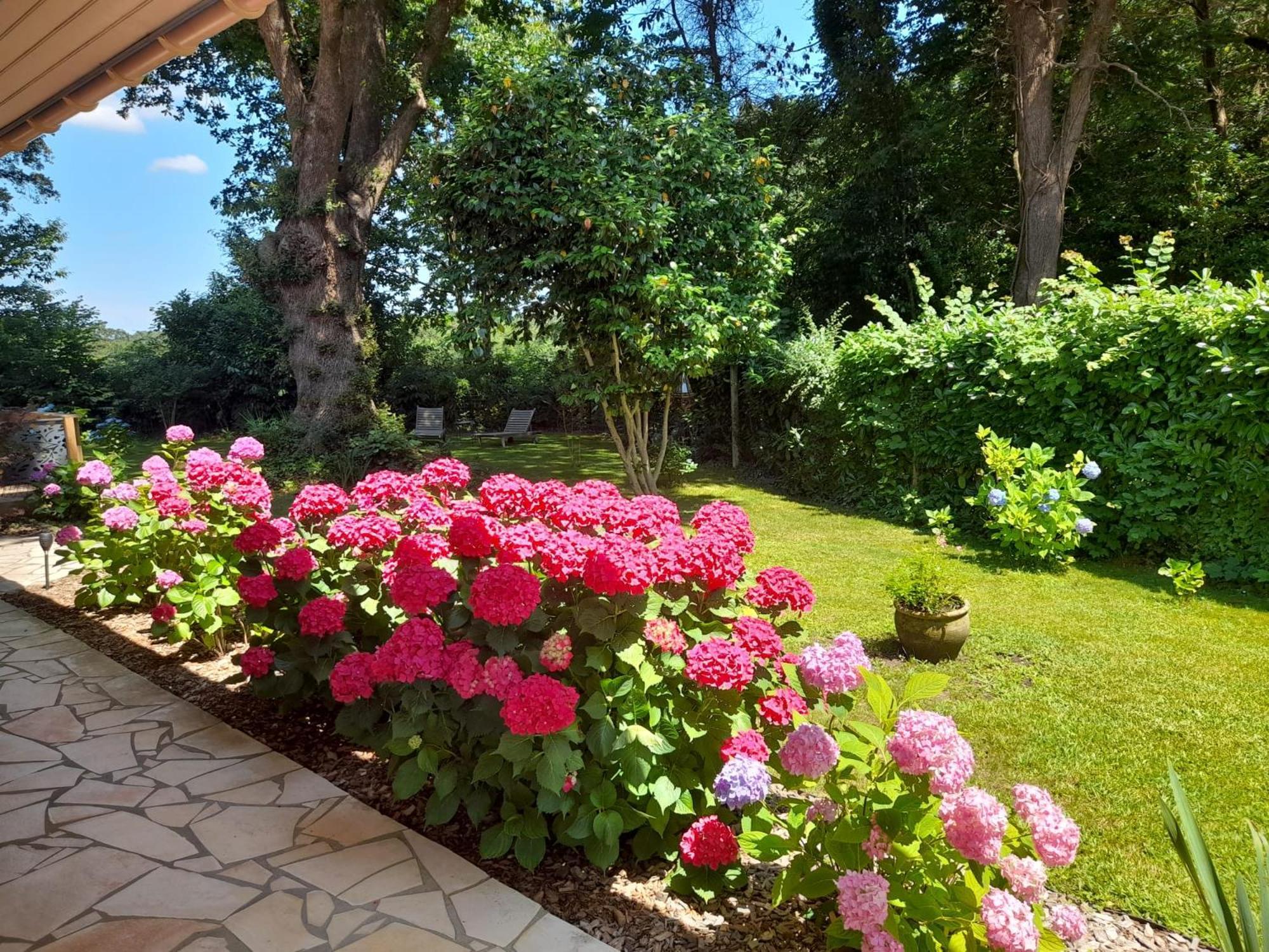 La Clairiere Du Seignanx Bed & Breakfast Saint-Martin-de-Seignanx Екстериор снимка