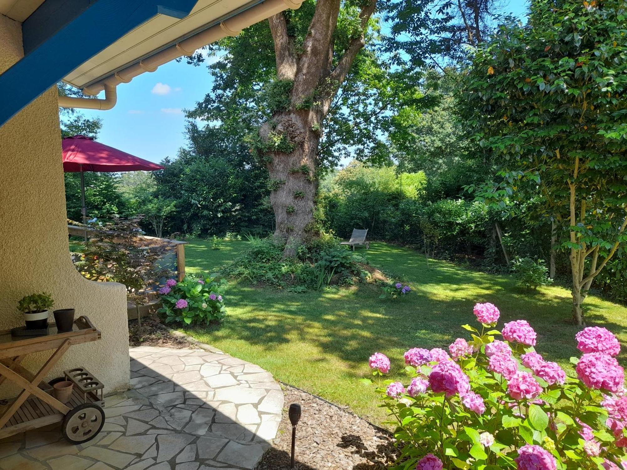 La Clairiere Du Seignanx Bed & Breakfast Saint-Martin-de-Seignanx Екстериор снимка